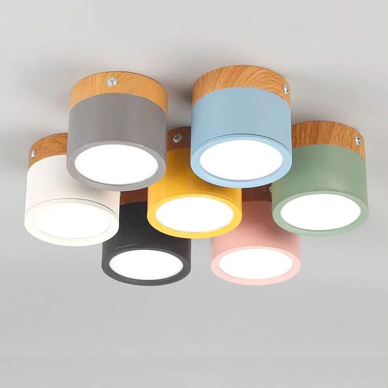 Colorful Downlight Ceiling Spotlight