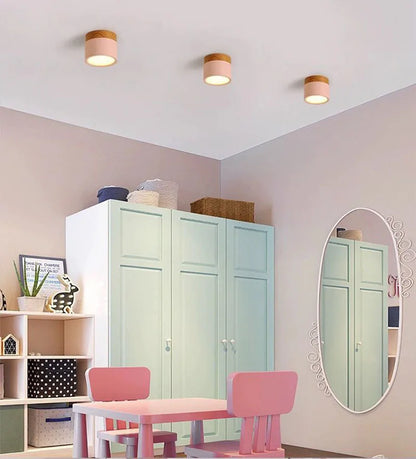Colorful Downlight Ceiling Spotlight