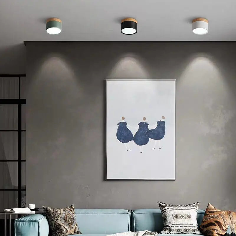 Colorful Downlight Ceiling Spotlight