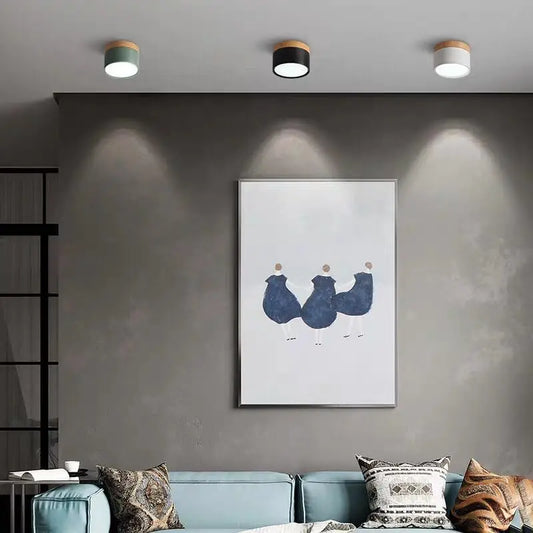 Colorful Downlight Ceiling Spotlight