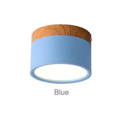 Colorful Downlight Ceiling Spotlight
