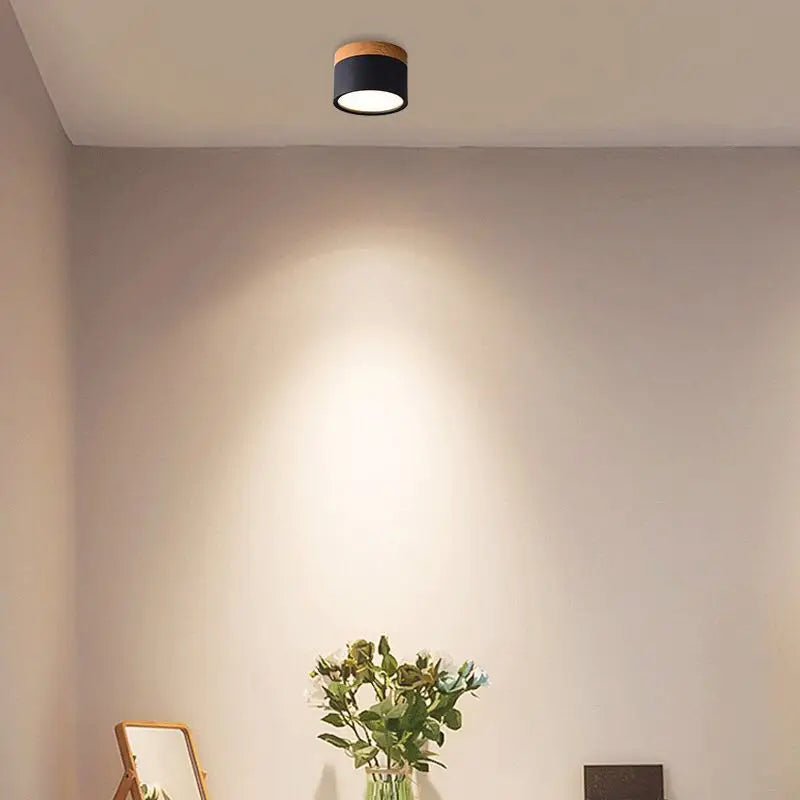 Colorful Downlight Ceiling Spotlight