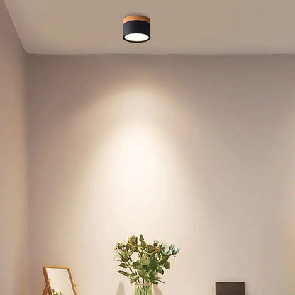 Colorful Downlight Ceiling Spotlight