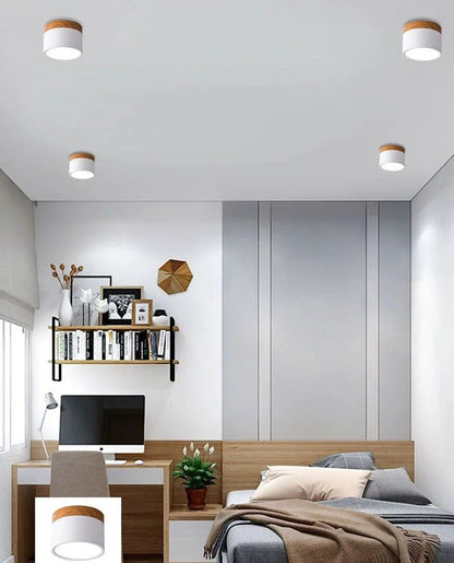Colorful Downlight Ceiling Spotlight