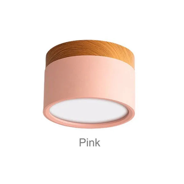Colorful Downlight Ceiling Spotlight
