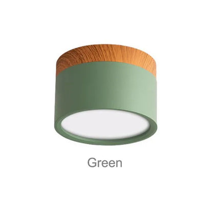 Colorful Downlight Ceiling Spotlight