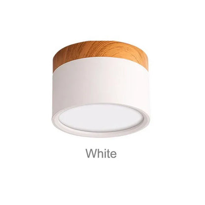 Colorful Downlight Ceiling Spotlight