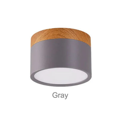 Colorful Downlight Ceiling Spotlight