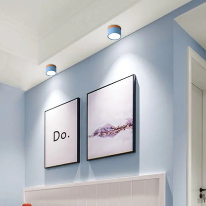 Colorful Downlight Ceiling Spotlight