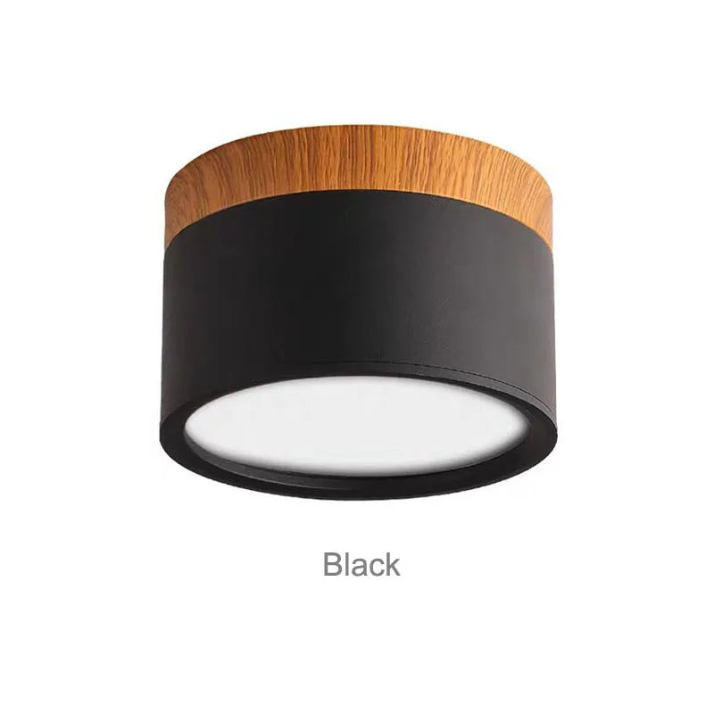 Colorful Downlight Ceiling Spotlight