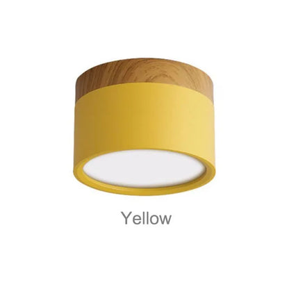 Colorful Downlight Ceiling Spotlight