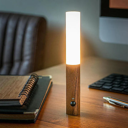 Magnetic Motion Sensor Torch Light