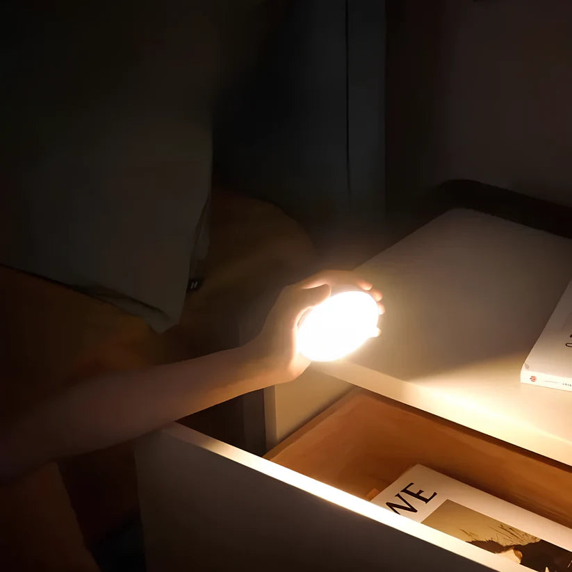 Orbix™ Motion Sensor Light