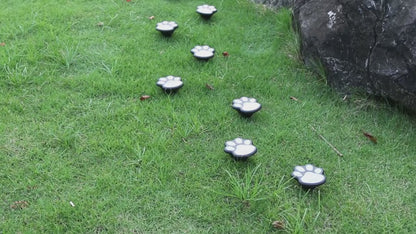 Solar Paw Paw Path Light