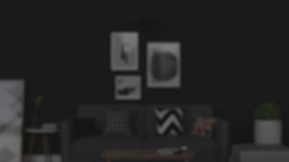 Picture Portrait Art Light